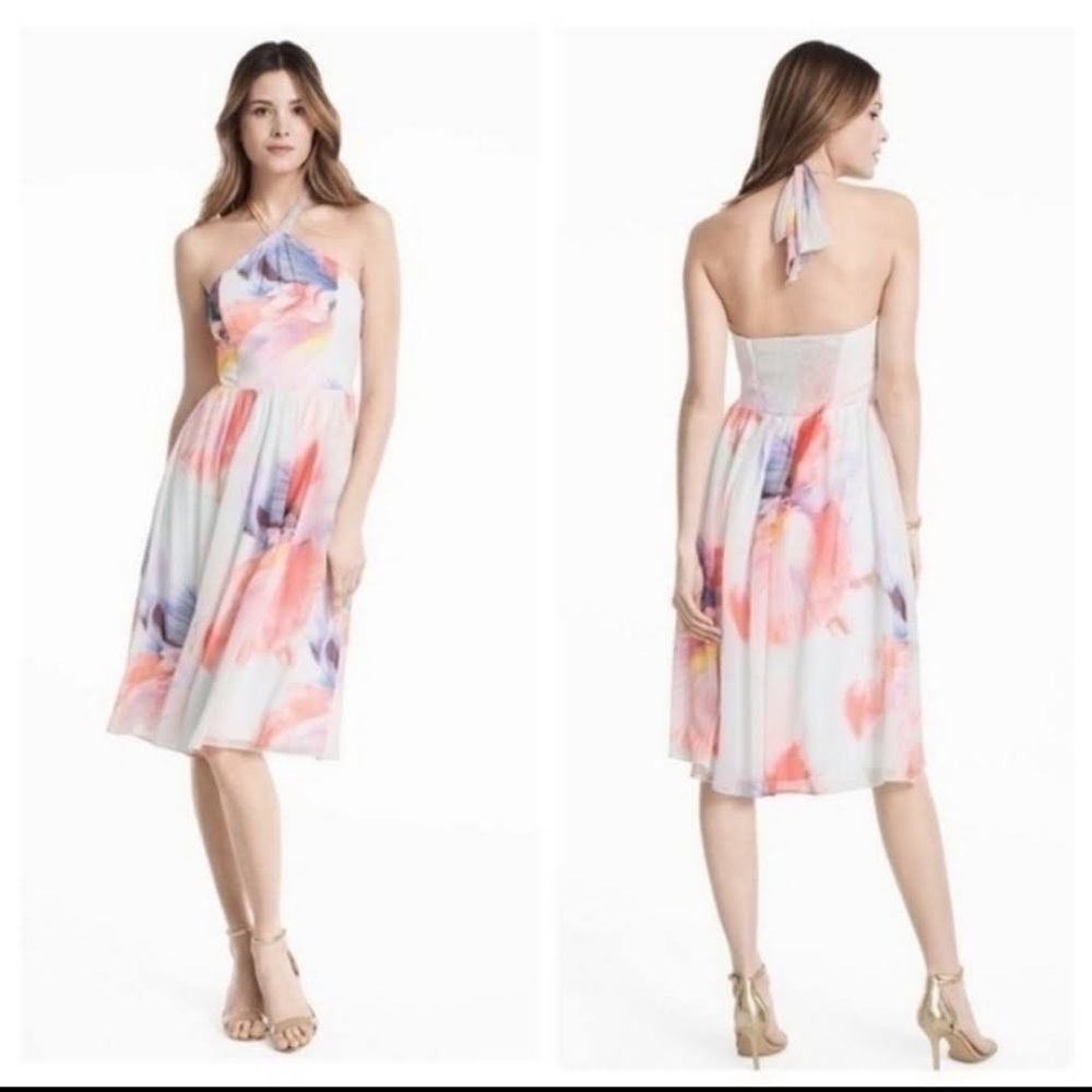 NWT White House Black Market Chiffon dress Halter knee Watercolors Sz 0 $160